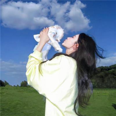 冒牌大状审死官